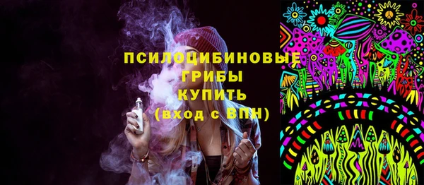 тгк Алексин