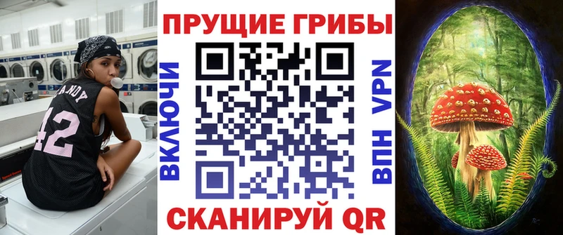 цена наркотик  Волхов  Псилоцибиновые грибы прущие грибы 